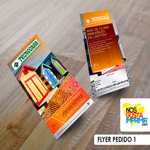 Flyer DL Tecnocasa 135 grms - Imagen 2