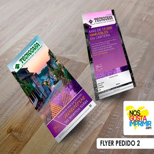 Flyer DL Tecnocasa 135 grms - Imagen 3
